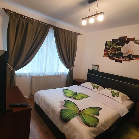Apartament Cosbuc Baia Mare Exteriör bild