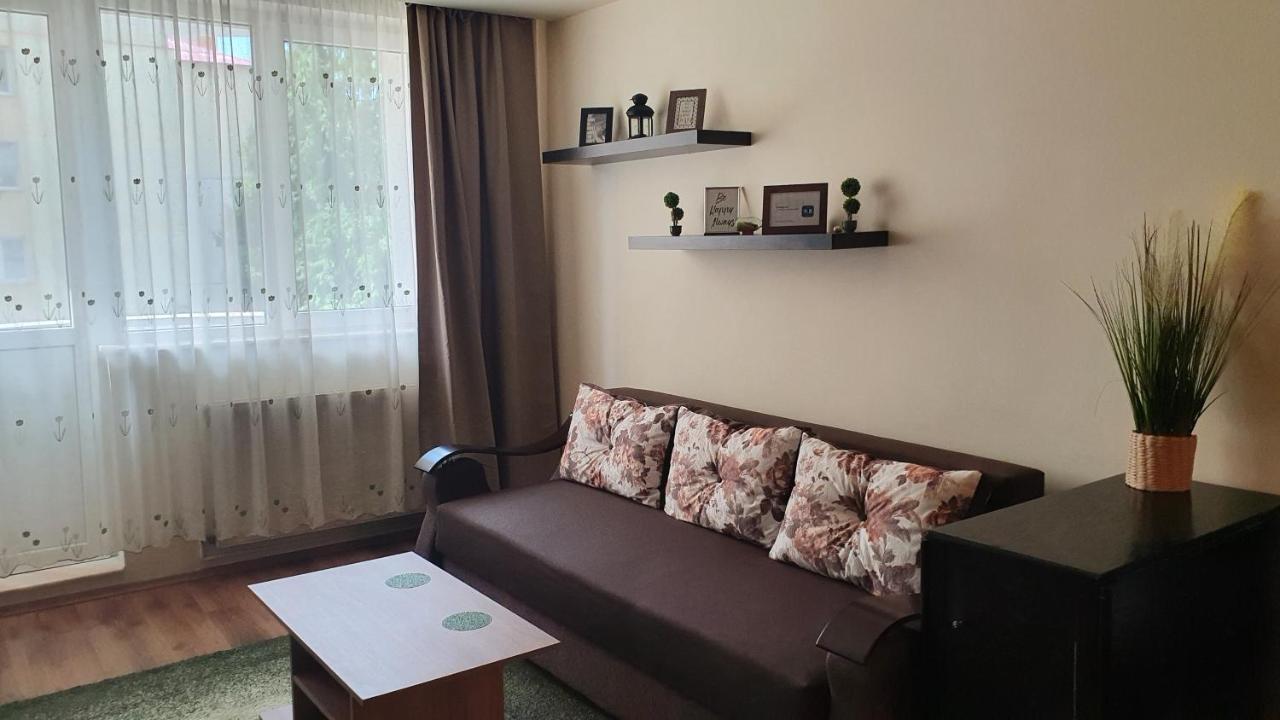 Apartament Cosbuc Baia Mare Exteriör bild